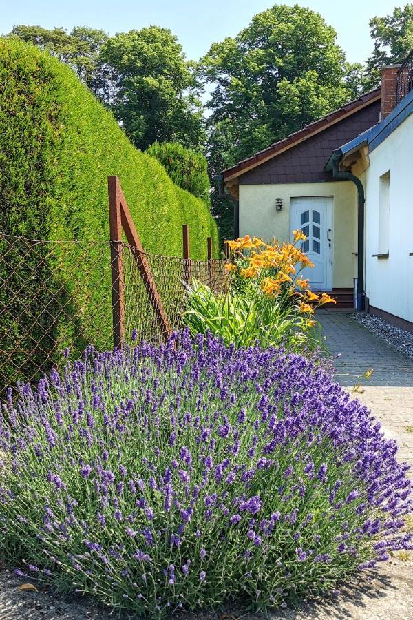 FeWo Albrecht in Metschow Borrentin Exterior foto